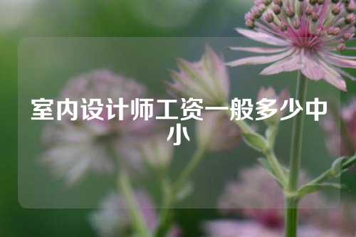 室内设计师工资一般多少中小