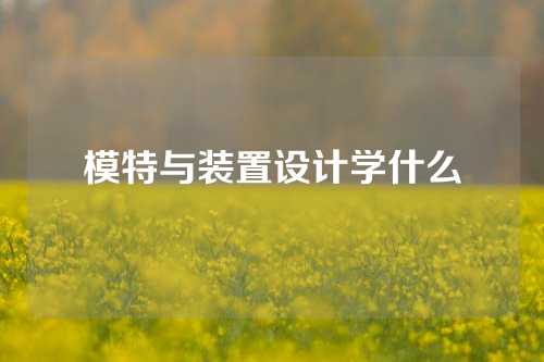 模特与装置设计学什么