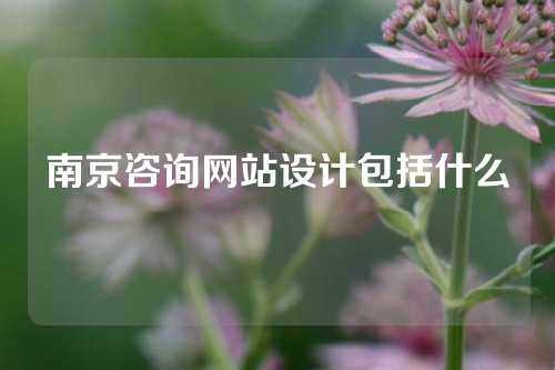 南京咨询网站设计包括什么