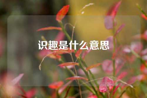 识趣是什么意思