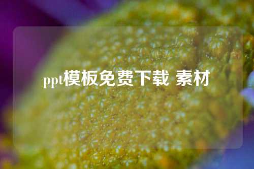 ppt模板免费下载 素材