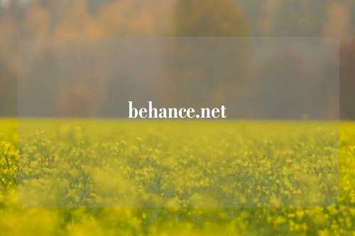 behance.net