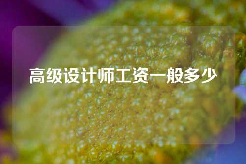 高级设计师工资一般多少