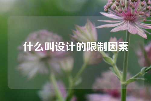 什么叫设计的限制因素