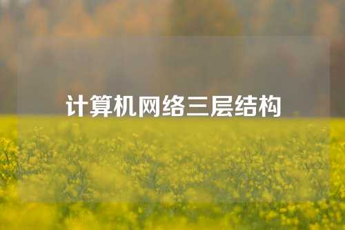 计算机网络三层结构