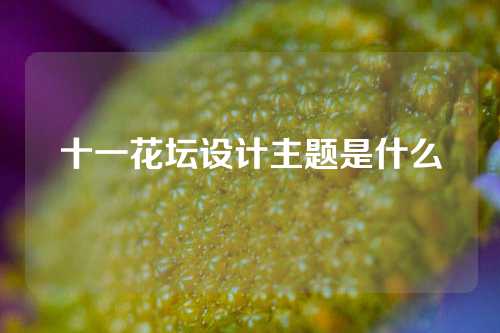 十一花坛设计主题是什么