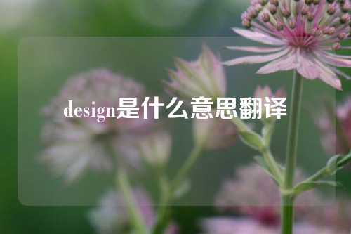 design是什么意思翻译