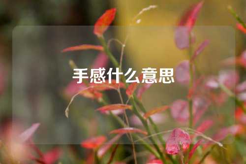 手感什么意思