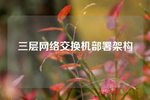 三层网络交换机部署架构