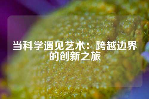 当科学遇见艺术：跨越边界的创新之旅