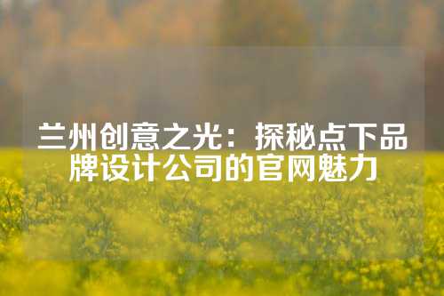 兰州创意之光：探秘点下品牌设计公司的官网魅力