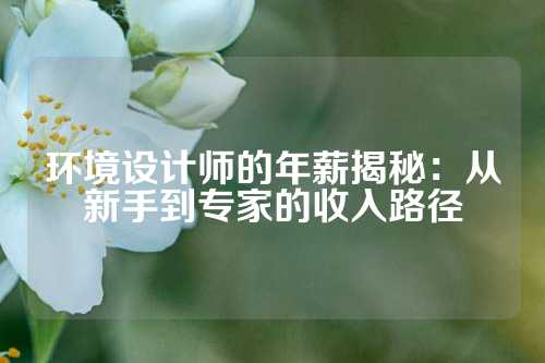 环境设计师的年薪揭秘：从新手到专家的收入路径