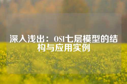 深入浅出：OSI七层模型的结构与应用实例