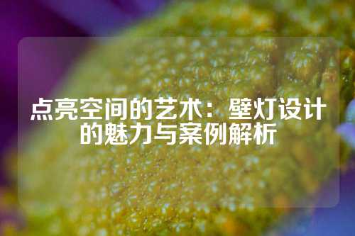 点亮空间的艺术：壁灯设计的魅力与案例解析