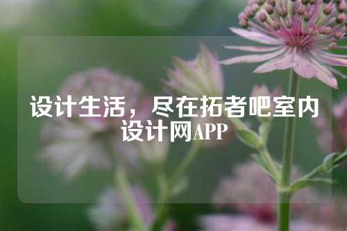 设计生活，尽在拓者吧室内设计网APP