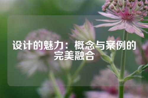 设计的魅力：概念与案例的完美融合