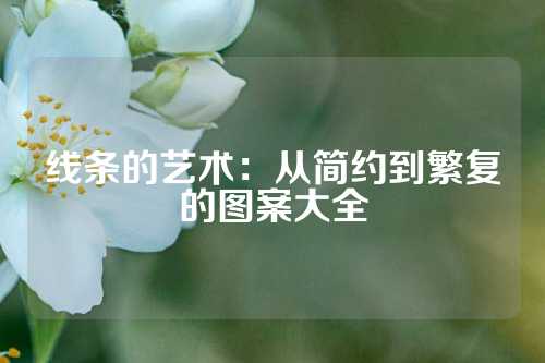 线条的艺术：从简约到繁复的图案大全