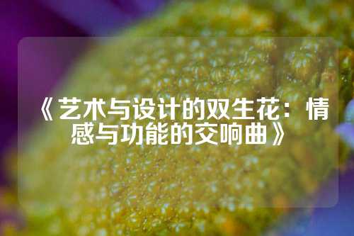 《艺术与设计的双生花：情感与功能的交响曲》