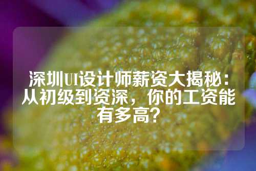 深圳UI设计师薪资大揭秘：从初级到资深，你的工资能有多高？