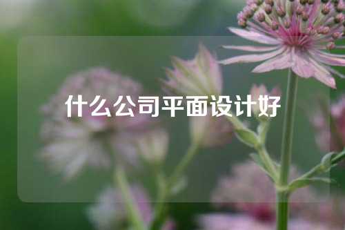 什么公司平面设计好