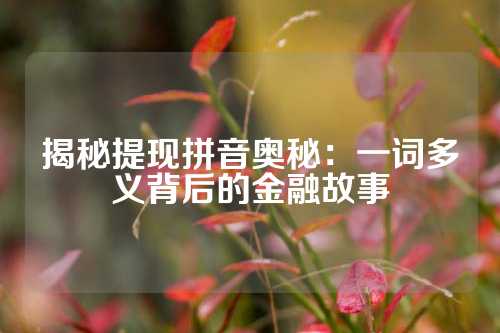 揭秘提现拼音奥秘：一词多义背后的金融故事