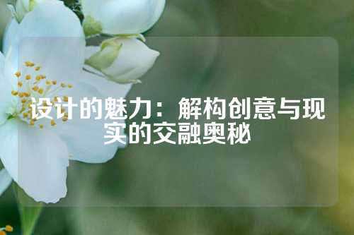 设计的魅力：解构创意与现实的交融奥秘