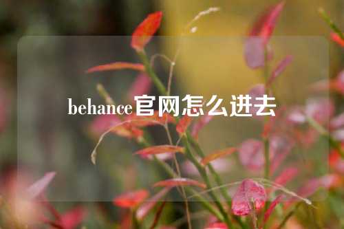 behance官网怎么进去