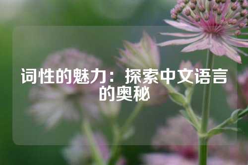 词性的魅力：探索中文语言的奥秘