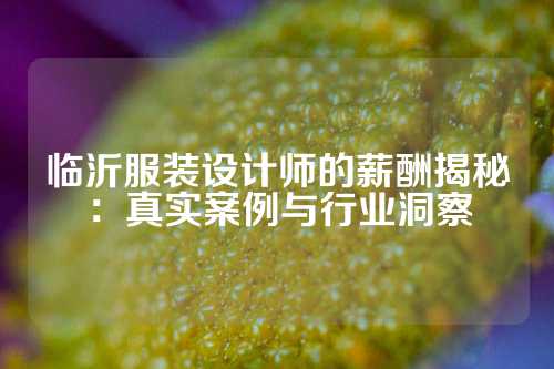 临沂服装设计师的薪酬揭秘：真实案例与行业洞察