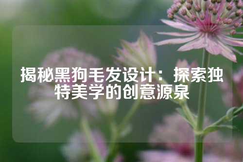 揭秘黑狗毛发设计：探索独特美学的创意源泉