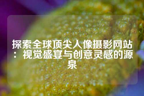 探索全球顶尖人像摄影网站：视觉盛宴与创意灵感的源泉