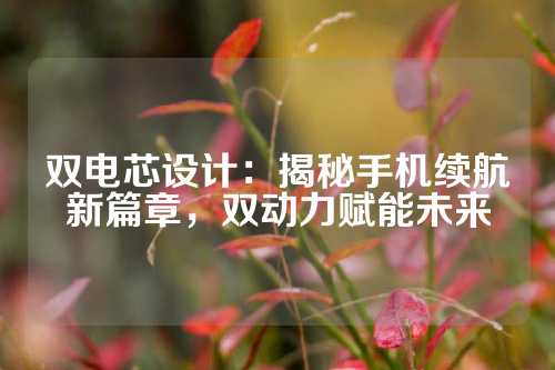 双电芯设计：揭秘手机续航新篇章，双动力赋能未来