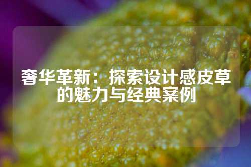 奢华革新：探索设计感皮草的魅力与经典案例