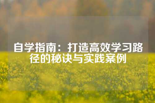 自学指南：打造高效学习路径的秘诀与实践案例