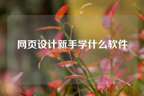 网页设计新手学什么软件