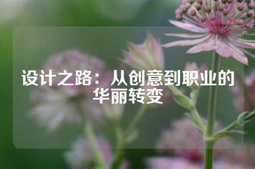 设计之路：从创意到职业的华丽转变