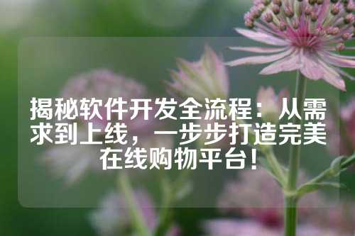 揭秘软件开发全流程：从需求到上线，一步步打造完美在线购物平台！