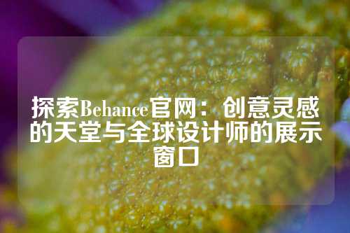 探索Behance官网：创意灵感的天堂与全球设计师的展示窗口