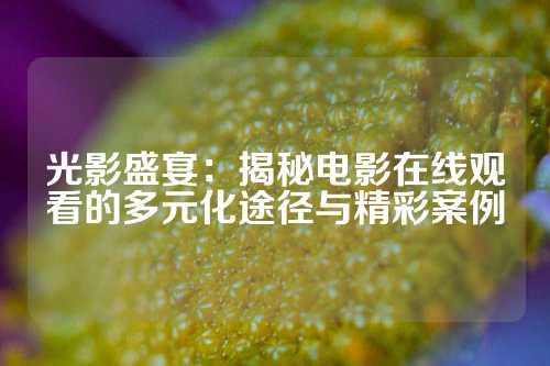 光影盛宴：揭秘电影在线观看的多元化途径与精彩案例