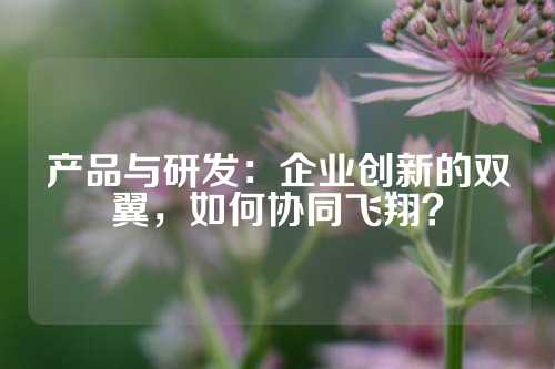 产品与研发：企业创新的双翼，如何协同飞翔？