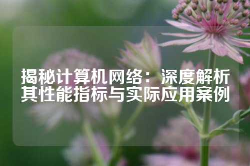 揭秘计算机网络：深度解析其性能指标与实际应用案例