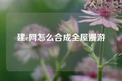 建e网怎么合成全屋漫游