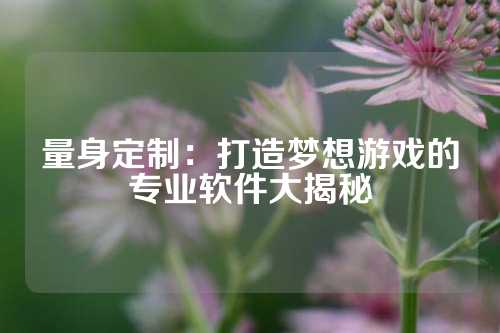 量身定制：打造梦想游戏的专业软件大揭秘