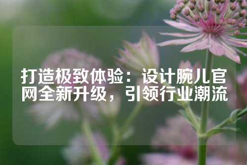 打造极致体验：设计腕儿官网全新升级，引领行业潮流