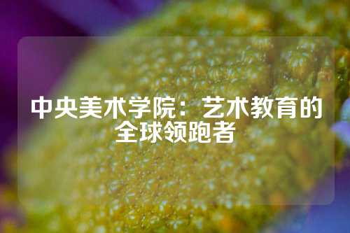 中央美术学院：艺术教育的全球领跑者