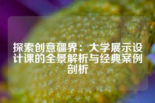 探索创意疆界：大学展示设计课的全景解析与经典案例剖析