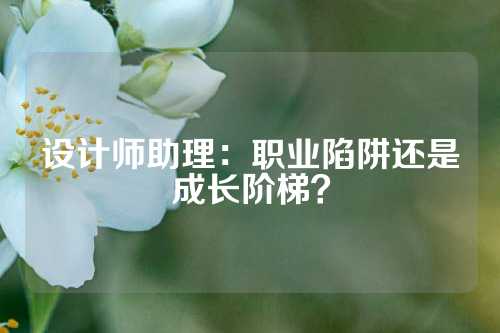 设计师助理：职业陷阱还是成长阶梯？