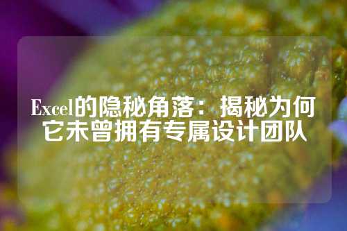 Excel的隐秘角落：揭秘为何它未曾拥有专属设计团队