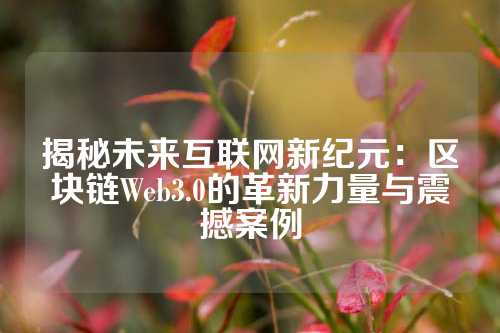 揭秘未来互联网新纪元：区块链Web3.0的革新力量与震撼案例