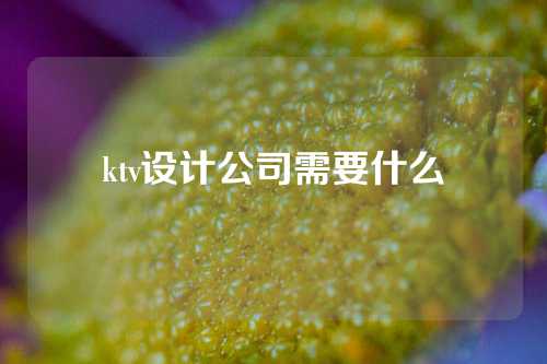 ktv设计公司需要什么